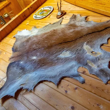 Veste Coburg Blick Casa de Férias